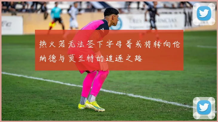 热火若无法签下字母哥或将转向伦纳德与莫兰特的追逐之路